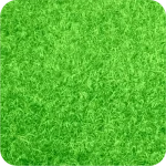 tappeti in Zermat con logo - colore 11 Verde Acido