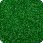 tappeto in Zermat da esterno - colore 12 Verde Prato